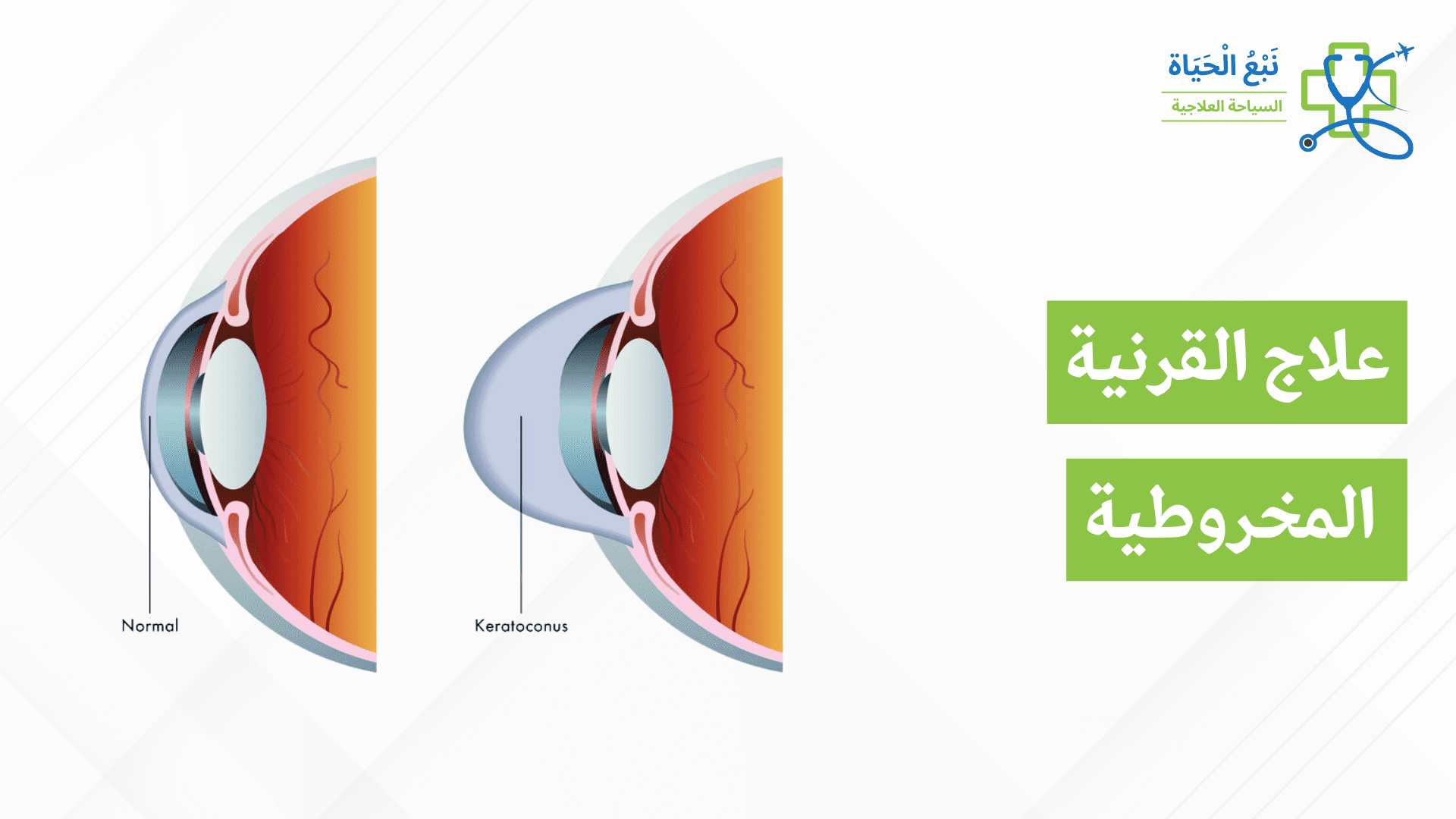 أفضل الأطباء والرعاية